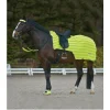 Waldhausen Reflecterende Uitrijdeken - Paardendekens - Neon One Size