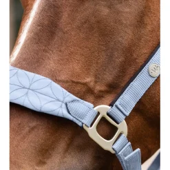 Waldhausen Rome - Halster - Full