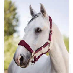 Waldhausen Rome - Halster - Wijnrood Full