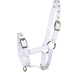 Waldhausen Veulenhalster Verstelbaar - Paardenhalster