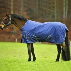 Waldhausen Winterdeken Economic Blauw - Stalbenodigdheden