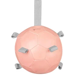 Waldhausen Wortelbal - Stalbenodigdheden - Pink