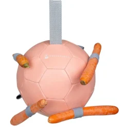 Waldhausen Wortelbal - Stalbenodigdheden - Pink