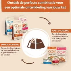 Wellness Core 98% Recipe 85 g - Kattenvoer