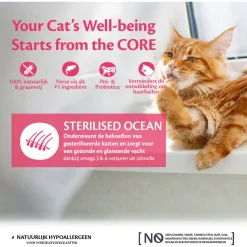 Wellness Core Grain Free Cat Sterilised Zalm - Kattenvoer