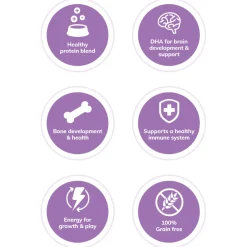 Wellness Core Grain Free Kitten - Kattenvoer