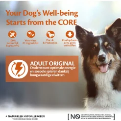 Wellness Core Grain Free Dog Original - Hondenvoer