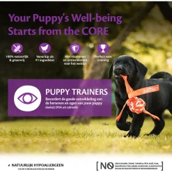 Wellness Core Puppy Trainers Chicken Flavoured With Carrots - Hondensnacks - Kip Wortel 170 g