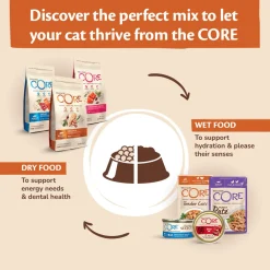 Wellness Core Purely Pate - Kattenvoer - Eend Kip 85 g