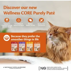 Wellness Core Purely Pate - Kattenvoer - Kip 85 g