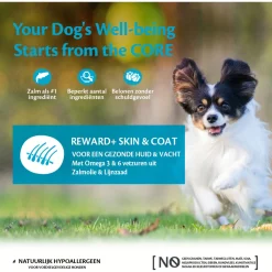 Wellness Core Reward+ Treats Salmon Skin & Coat - Hondensnacks - Zalm 170 g Voor Volwassen Honden Van Alle Rassen
