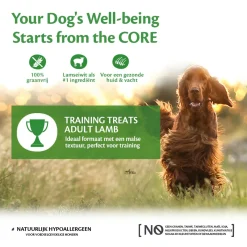 Wellness Core Training Treats Lamb Flavoured With Apple - Hondensnacks - Lam Appel 170 g Voor Volwassen Honden Van Alle Rassen
