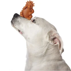 Whimzees Egel - Hondensnacks - Denta 9.1 cm Xlarge