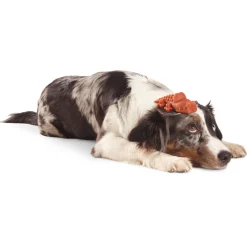 Whimzees Krokodil Stazak - Hondensnacks - Denta 11.7 cm 6 stuks Large