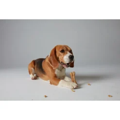 Whimzees Rice Bone - Hondensnacks - Denta 11.4 cm 50 g