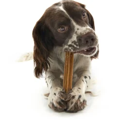 Whimzees Stix - Hondensnacks - Denta 17.8 cm Large