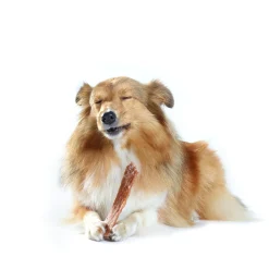 Whimzees Veggie Strip - Hondensnacks - Denta 30 g