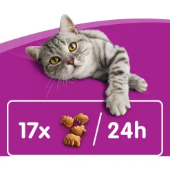 Whiskas Dentabites - Kattensnack - Dental 40 g