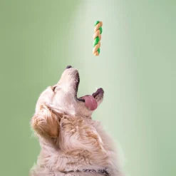 Wonder Snaxx Braid - Hondensnacks - Pinda's Appel 16 cm