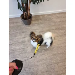 Wooff Riemlabel Afstand Houden - Hondensport - 17x7 cm Geel