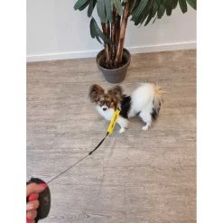 Wooff Riemlabel Niet Aaien - Hondensport - 17x7 cm Geel