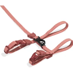 Zee.Dog Canyon Harnas + Lijn - Kattenharnas - Lichtroze per set 20-30x1.0 Cm