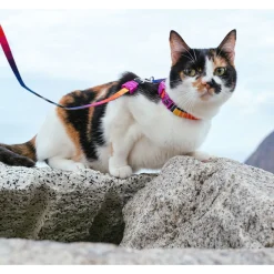 Zee.Dog Prisma Harnass + Lijn - Kattenharnas - 20-30x1.0 cm Multi-Color One Size