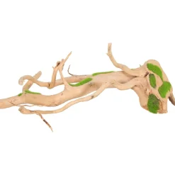 Zolux Groeiend Decor Spider Root - Aquarium - Ornament